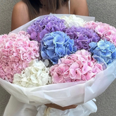 Buchet cu 9 hortensii "Pastel Joy"